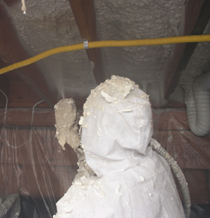 Fremont NE crawl space insulation